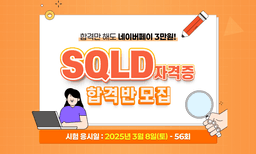 유데미 2025 SQLD 자격증 합격반 (3월 8일 시험)  | 