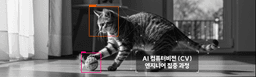 멋쟁이사자처럼 AI 엔지니어 심화 부트캠프 이미지처리 2기 | 완성 프로젝트 중심 교육으로 취업 완벽 대비!