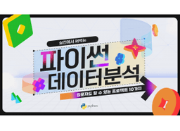 잇업 실전에서 써먹는 파이썬 데이터분석 입문자도 할 수 있는 프로젝트 10가지  | 