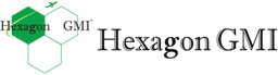 헥사곤지엠아이 로고