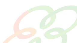 코드스쿼드 마스터즈 2024 | 